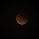 Image for article titled 34 Amazing Photos Of The Super Blood Moon